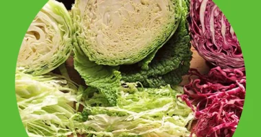 20 reasons you need to eat cabbage more often