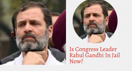 Is Congress Leader Rahul Gandhi In Jail Now? Net Worth & Charges Details