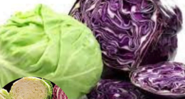 Is cabbage better for you cooked or raw