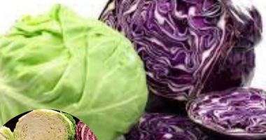 Is cabbage better for you cooked or raw