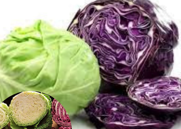 Is cabbage better for you cooked or raw