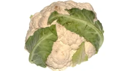 10 Low-Carb Swallows in Nigeria That Are Easy To Make