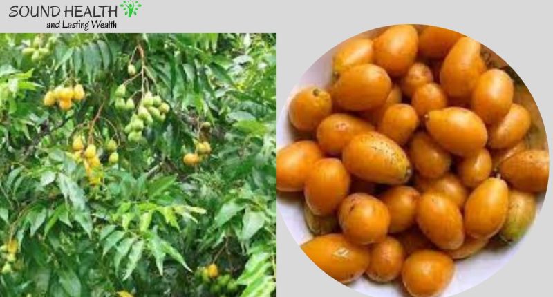 7 Incredible Health Benefits of Iyeye leaves