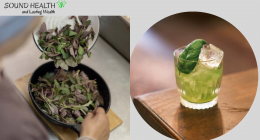 17 Amazing Health Benefits Of Scent Leaves