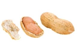 10 Conditions Eating Too Much Groundnut Can Cause