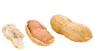 10 Conditions Eating Too Much Groundnut Can Cause