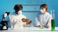 Importance of training and education in healthcare