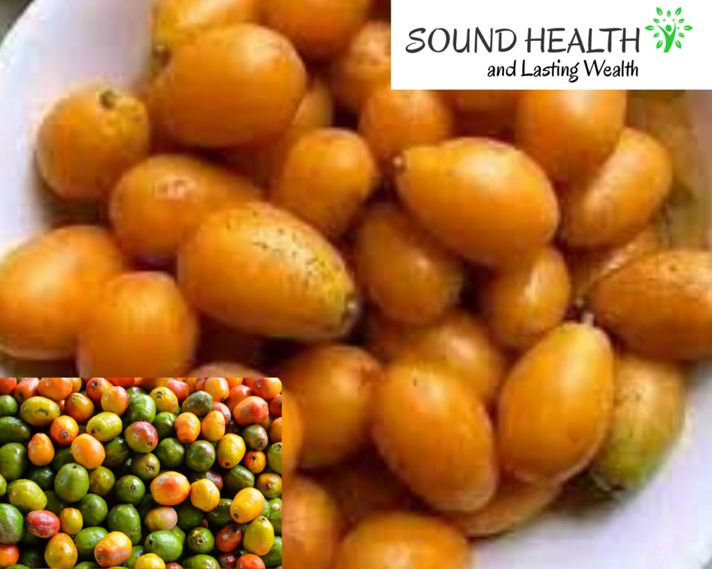 5 Hog Plum Side Effects Risks and Precautions to Consider