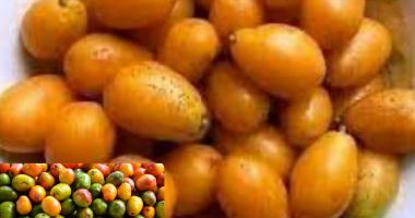 5 Hog Plum Side Effects: Risks and Precautions to Consider
