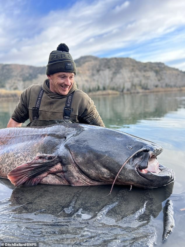 British angler hooks humongous 222lb catfish which dragged his boat