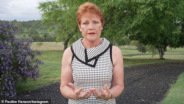 Pauline Hanson Slams Anthony Albanese As Migration Is Set To Soar Past ...