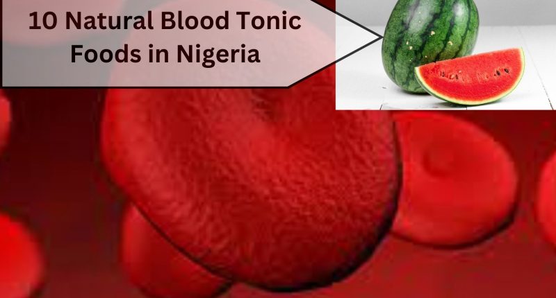 10 Natural Blood Tonic Foods in Nigeria (Anemia & Hemoglobin Levels)