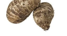 25 health benefits of eating cocoyam