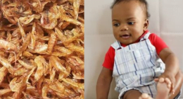 Health Benefits of Crayfish for Babies
