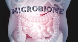 Gut Health: An Essential Guide to Maintaining a Healthy Digestive System