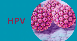 Human Papillomavirus (HPV) Everything You Should Know