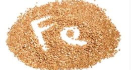 17 Iron-Rich Nigerian Foods