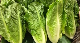 Health Benefits of Eating Lettuce for Skin, Hair, and Health