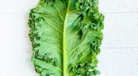 Kale: Health Benefits And Nutrition Facts