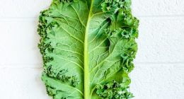Kale: Health Benefits And Nutrition Facts