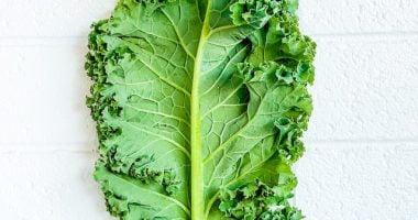 Kale: Health Benefits And Nutrition Facts