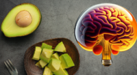 7 Best Healthy Fruits That Can Improve Brain Function Easily