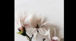 How Did Ashley Day Got Stabbed? Murder Case Details