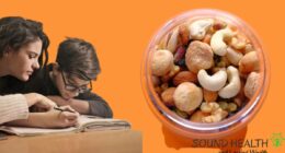 7 Best Healthy Nuts That Can Improve Memory Retention Easily