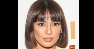 Is Janice Griffin Alive? Pornographic Film Actor Update