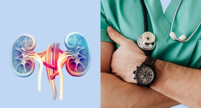 11 Most Common Diseases That Damage Your Kidney