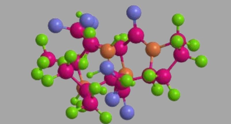 Peptide Studies on Fragment 176-191 and Weight 