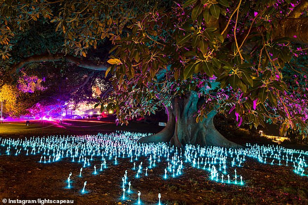 Vivid Sydney visitors must pay to see Royal Botanic Gardens Lightscape ...