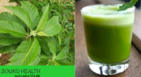 Drinking Bitter Leaf Water On Empty Stomach: Is It Safe?