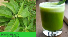 Drinking Bitter Leaf Water On Empty Stomach: Is It Safe?