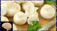 10 Brain-Boosting Foods to Enhance Your Cognitive Function