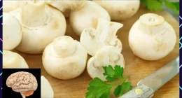 10 Brain-Boosting Foods to Enhance Your Cognitive Function