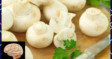 10 Brain-Boosting Foods to Enhance Your Cognitive Function