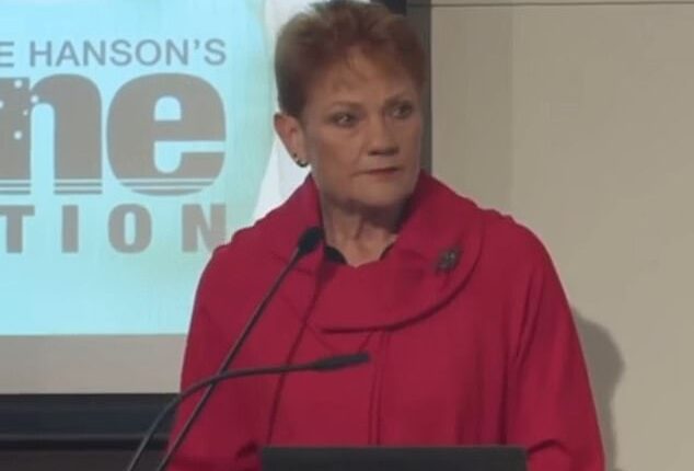 Pauline Hanson's Explosive Attack On Anthony Albanese's 'Voice To ...