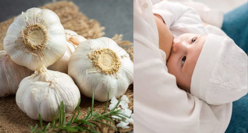 Garlic for Nursing Mothers: Does It Increase Breast Milk Supply?