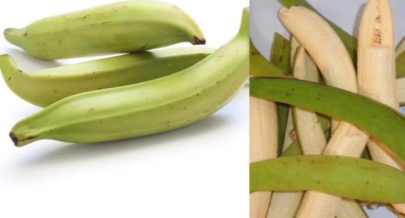 Benefits of Unripe Plantain Peel: A Hidden Source of Wellness