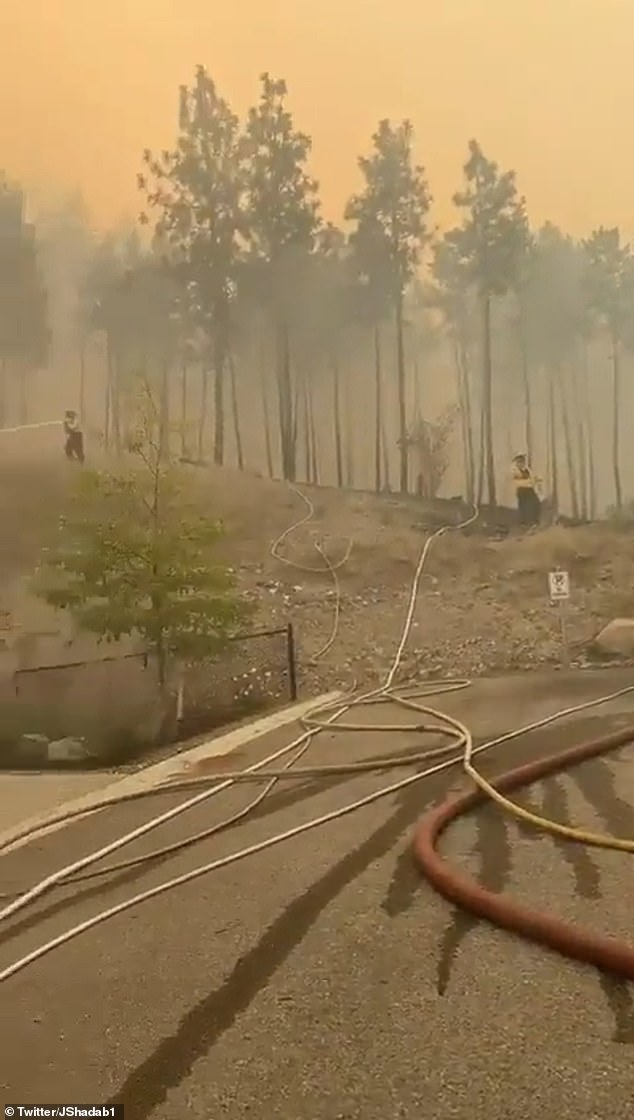 Terrifying Canada Wildfire That Jumped Lake Grows A HUNDRED-FOLD In 24 ...