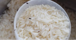 Weevil control in stored grain: The best and effective cooking spices to use