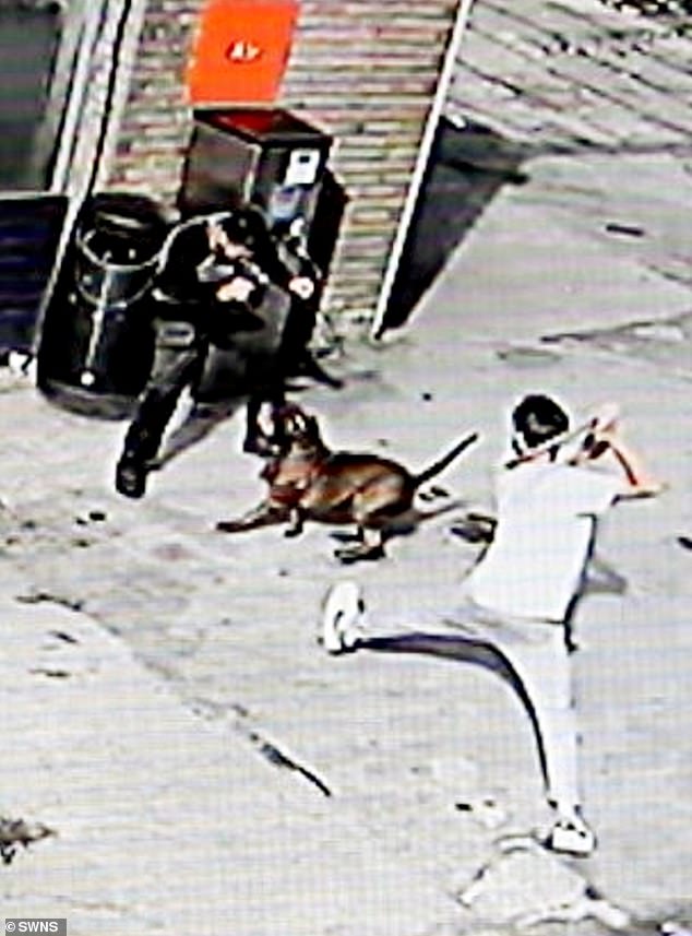 Man is arrested over crazed XL Bully rampage where 'devil' dog mauled