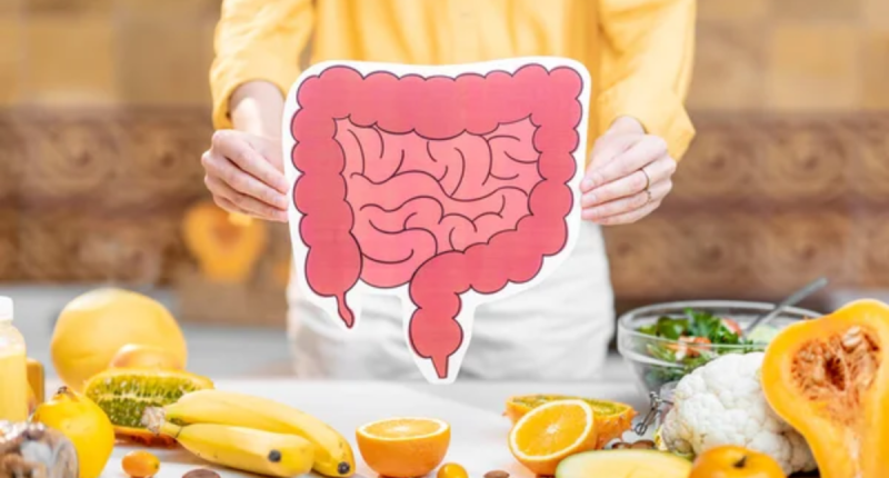 7 Must Include Edibles for Healthy Gut Today