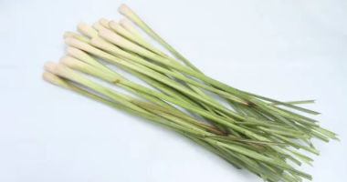 Lemongrass to Fight High Cholesterol: Here's How to Use it