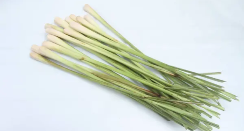 Lemongrass to Fight High Cholesterol: Here's How to Use it