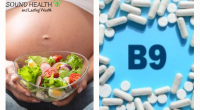 From Pregnancy to Energy Levels: Exploring the Many Roles of Vitamin B9 in Your Body
