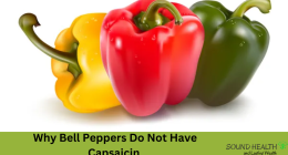 Why Bell Peppers Do Not Have Capsaicin