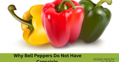 Why Bell Peppers Do Not Have Capsaicin