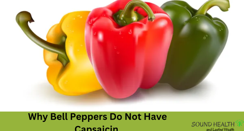 Why Bell Peppers Do Not Have Capsaicin